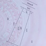 Bán nền đất 300m² xổ hồng sẵn Tỉnh 905 Cần Giờ - Ảnh thu nhỏ 5