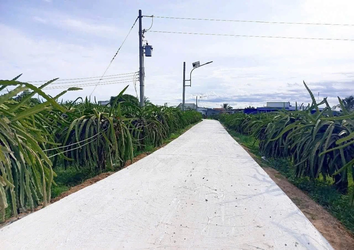 Bán đất thổ cư 117m2 thôn Hội Nhơn, xã Hàm Liêm, Lâm Đồng giá 420 triệu - Ảnh 1