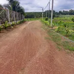 Bán mảnh đất 265m² full thổ cư tại La Ngà - Ảnh thu nhỏ 1