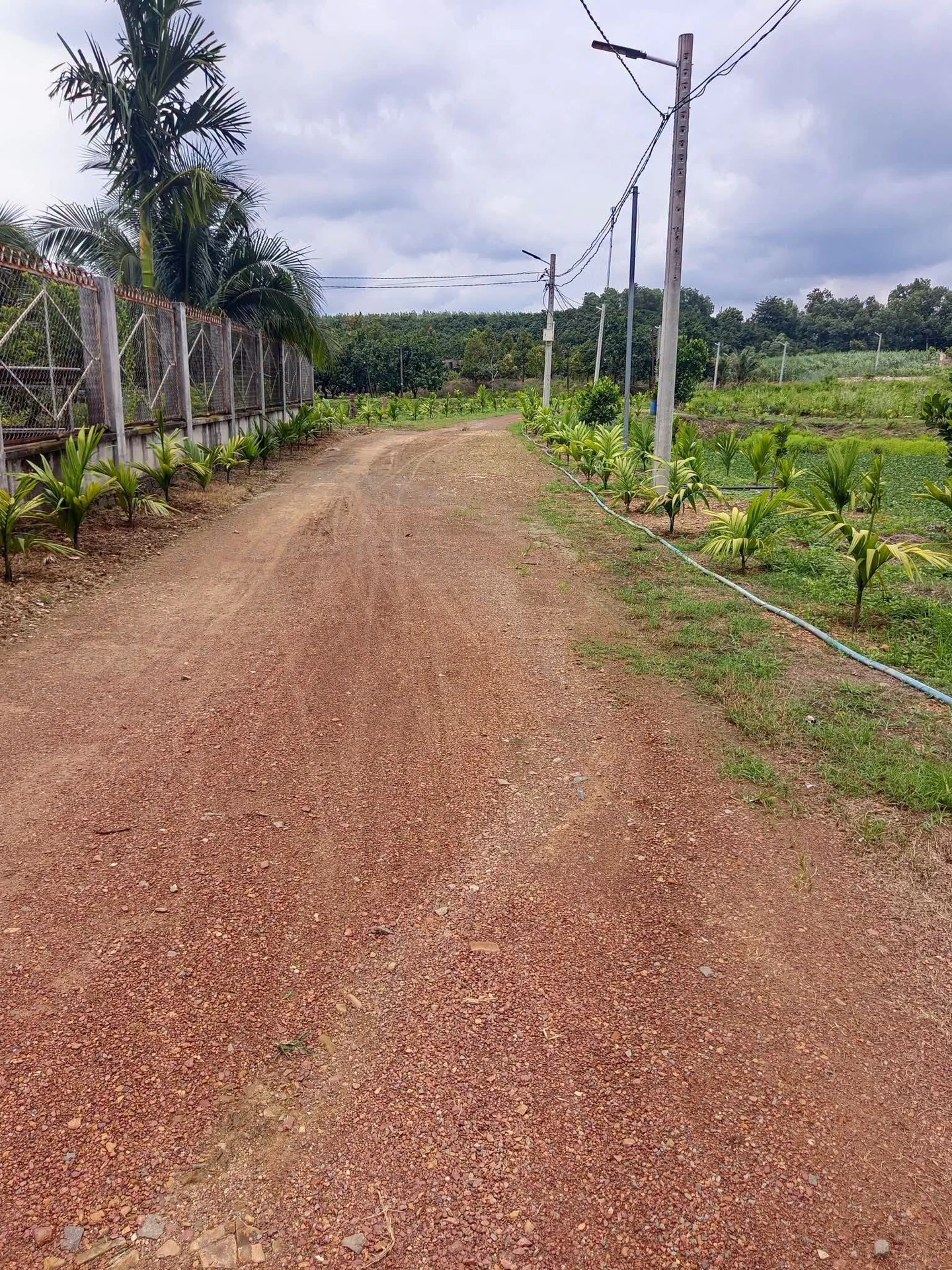 Bán mảnh đất 265m² full thổ cư tại La Ngà - Ảnh 1