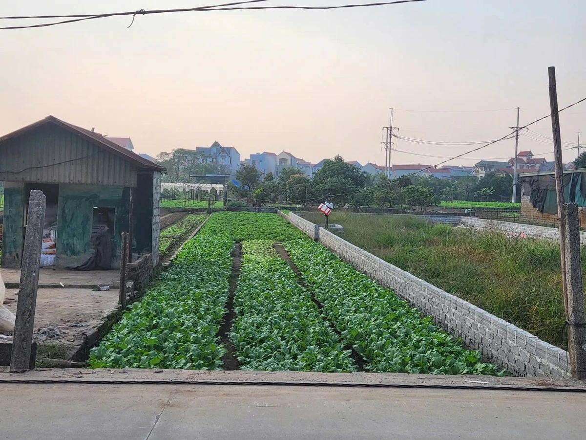 Bán đất mặt chợ 255m² Chương Dương Hà Nội 1,2 tỷ - Ảnh thu nhỏ 2