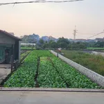 Bán đất mặt chợ 255m² Chương Dương Hà Nội 1,2 tỷ - Ảnh thu nhỏ 2