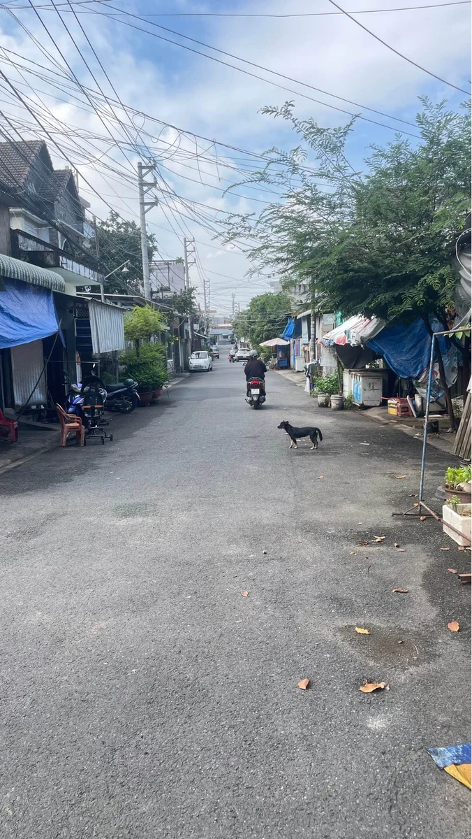 Bán đất Long Bình Tân 100m2 giá 1 tỷ 250 triệu - Ảnh thu nhỏ 3