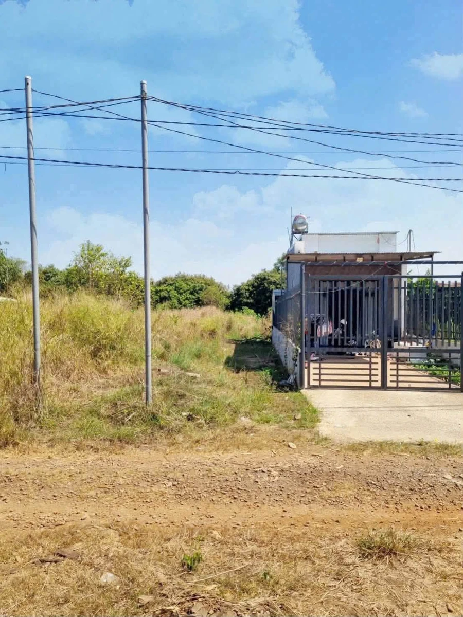 Bán đất Trảng Bom 240m² sổ riêng 880 triệu - Ảnh thu nhỏ 2
