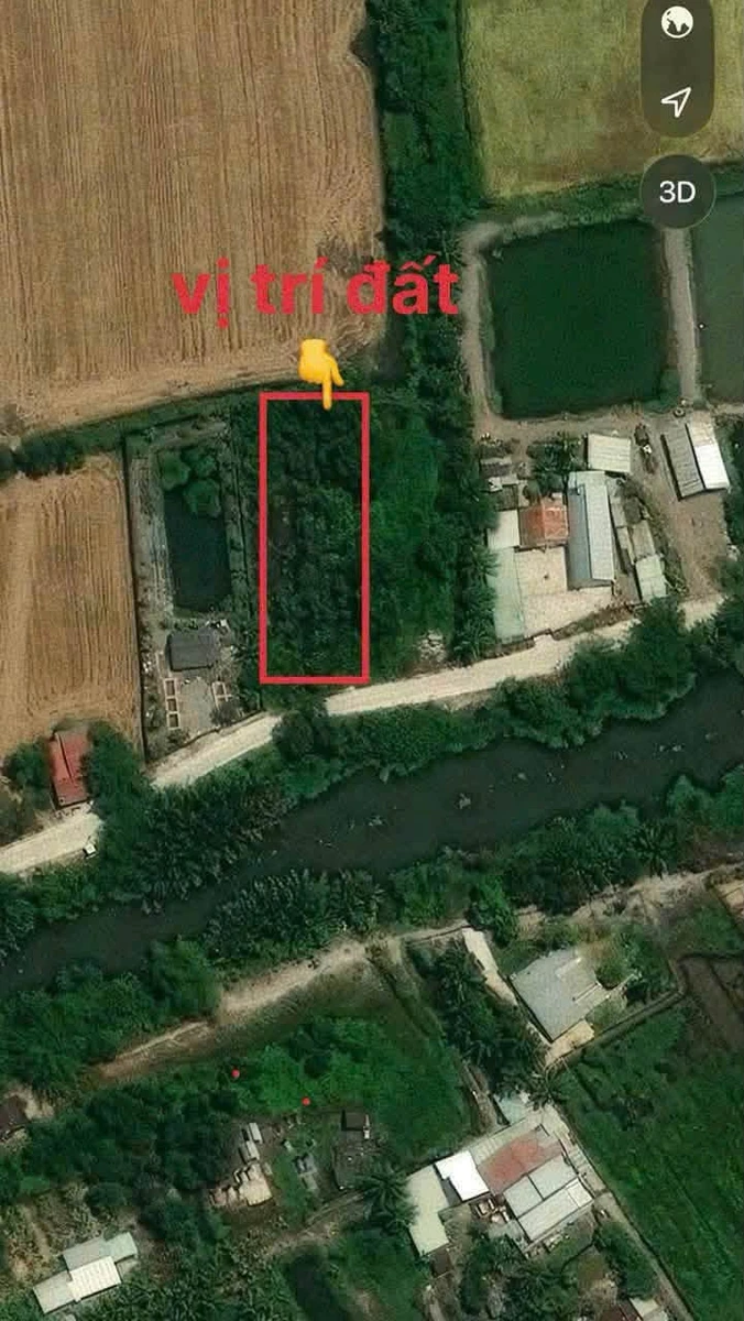 Bán đất lúa 1250m² Đức Hoà Tây Ninh 5 tỷ - Ảnh thu nhỏ 3