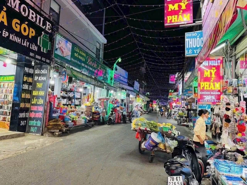 Bán dãy trọ 12 phòng 200m² Phòng Long Bình, Bình Dương