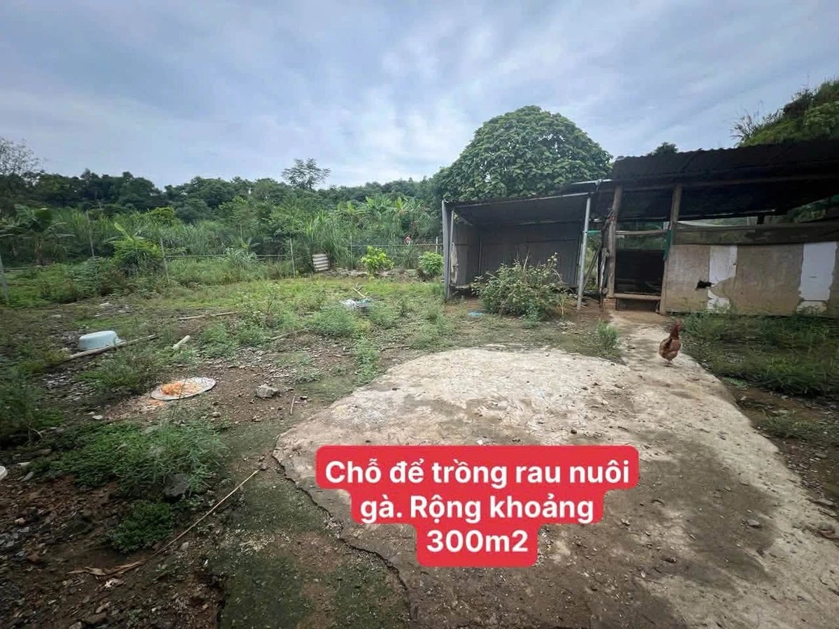 Bán nhà cấp 4 300m2 Lào Cai, 5 phòng ngủ, 3 tỷ - Ảnh 1