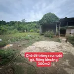 Bán nhà cấp 4 300m2 Lào Cai, 5 phòng ngủ, 3 tỷ - Ảnh thu nhỏ 1