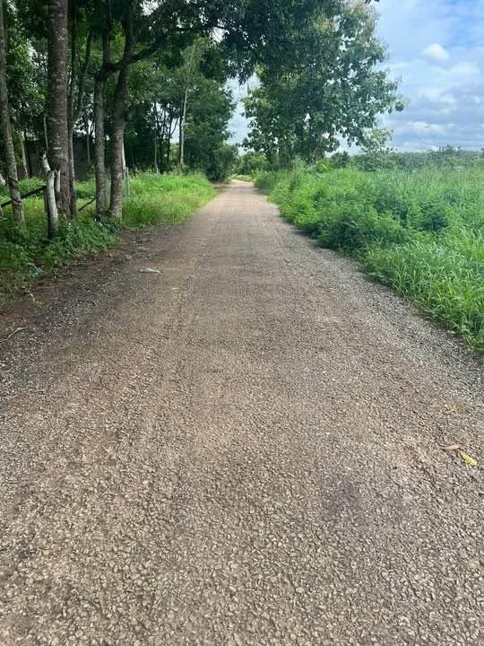 Bán đất Tân Phước 264m2, giá 4 tỷ - Ảnh thu nhỏ 2