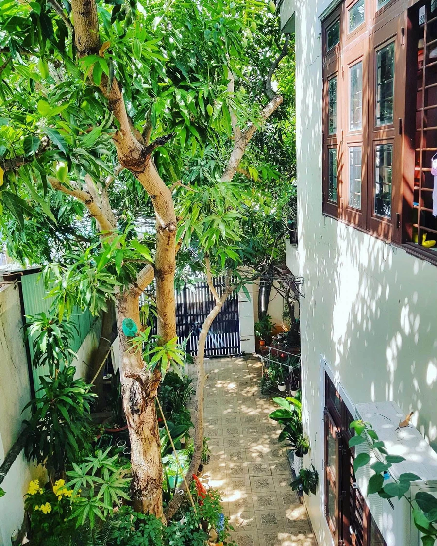 Bán biệt thự 1 trệt 1 lầu 183m² gần biển Vũng Tàu - Ảnh thu nhỏ 3