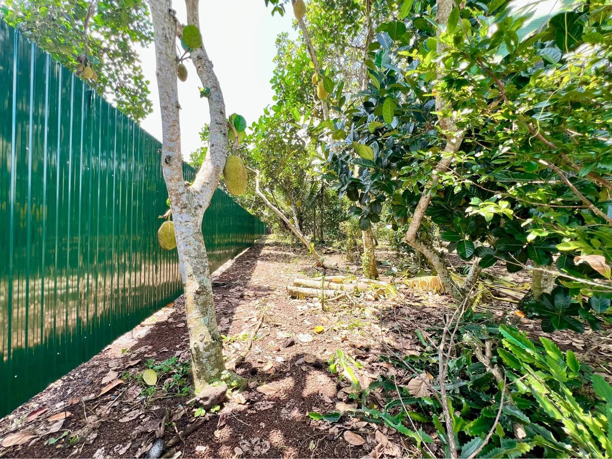 Bán vườn trái cây 500m² giá 699 triệu tại Phường Bảo Vinh, Đồng Nai - Ảnh thu nhỏ 3