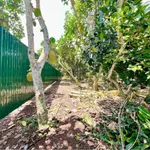 Bán vườn trái cây 500m² giá 699 triệu tại Phường Bảo Vinh, Đồng Nai - Ảnh thu nhỏ 3