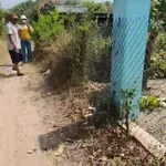 Bán đất 99m² Ninh An, Ninh Hòa, Khánh Hòa 300 triệu - Ảnh thu nhỏ 4