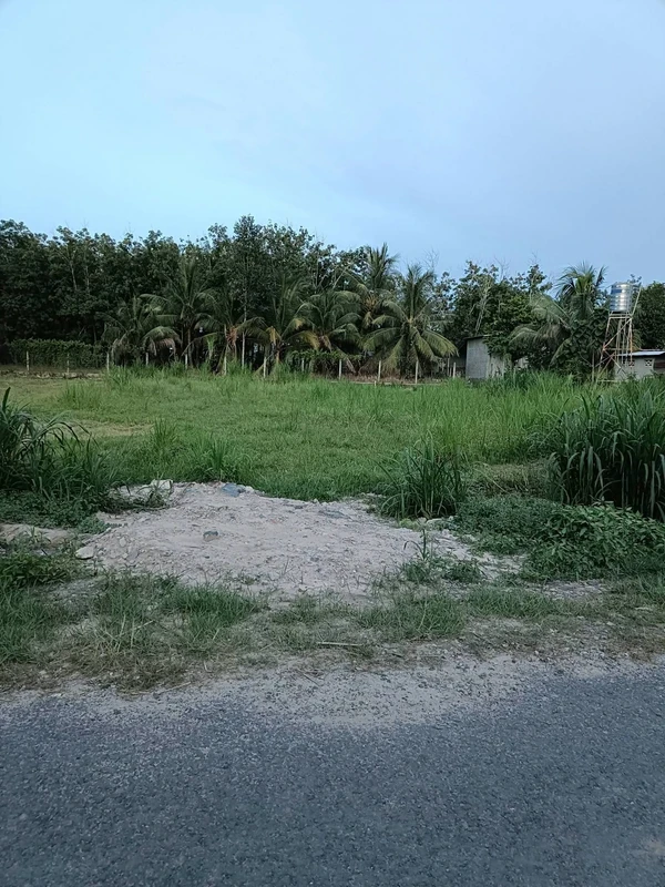 Bán đất 5x37m giá 290 triệu tại ấp Tầm Long, Hảo Đước, Châu Thành, Tây Ninh