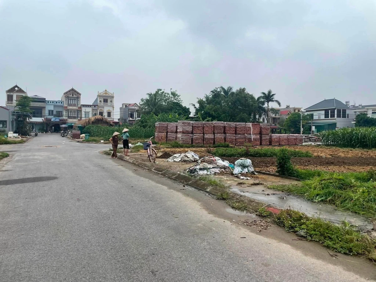 Bán đất mặt tiền 90m² tại Ngũ Hùng, Thanh Miện, Hải Phòng, giá 1 tỷ 3 - Ảnh thu nhỏ 2