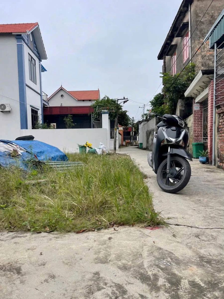 Bán lô đất Cẩm Giang Hải Phòng 72,2m2 giá 700 triệu - Ảnh 1