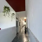 Bán dãy trọ 8 phòng 144m2 đường Lò Lu, dòng tiền 20tr/tháng - Ảnh thu nhỏ 3