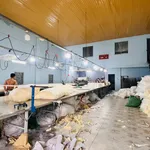 Bán nhà xưởng 200m² An Phú Thuận An giá 6 tỷ - Ảnh thu nhỏ 2