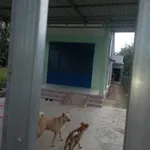 Bán đất Bình Mỹ 455m² 2 tỷ 3 - Ảnh thu nhỏ 1