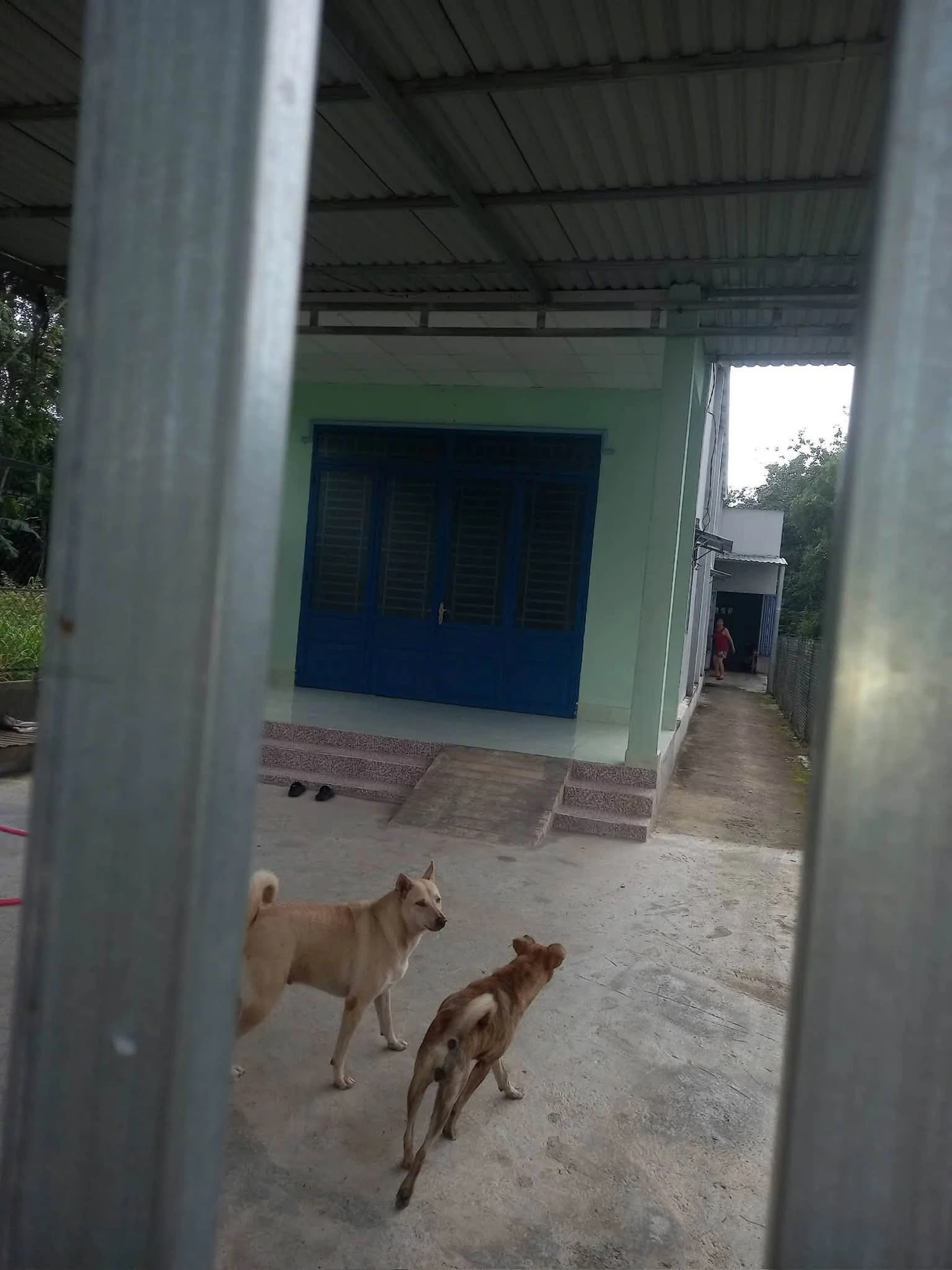Bán đất Bình Mỹ 455m² 2 tỷ 3 - Ảnh 1
