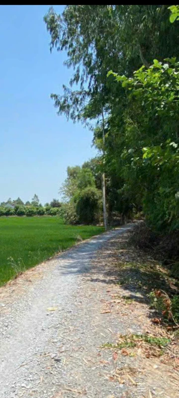 Bán đất Cao Lãnh Đồng Tháp 10 công mặt tiền 65m