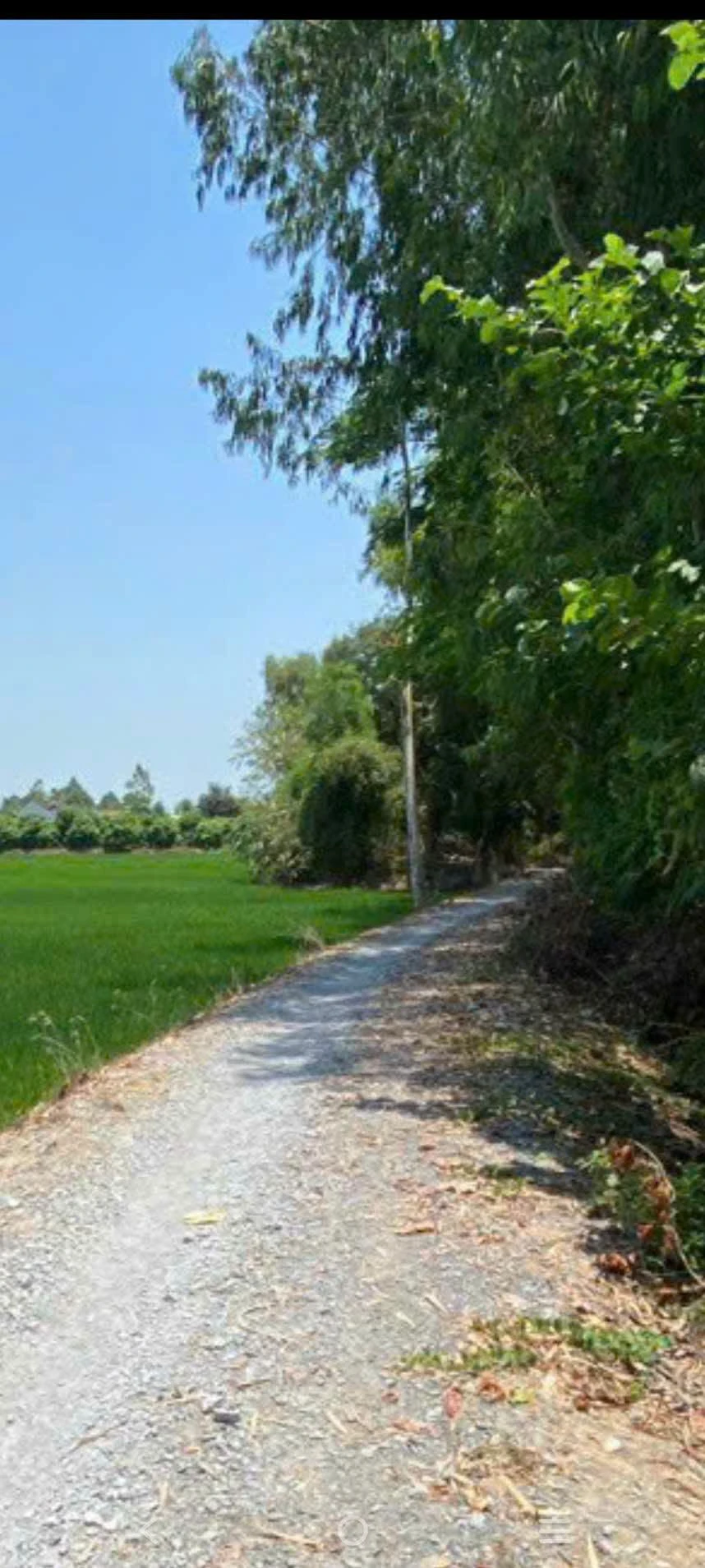 Bán đất Cao Lãnh Đồng Tháp 10 công mặt tiền 65m - Ảnh 1