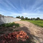 Bán đất vườn 544m² Tây Ninh - Sổ hồng riêng 680 triệu - Ảnh thu nhỏ 1