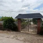 Bán 19 công đất xã Tân Thạnh Tây Ninh, 3,8 tỷ - Ảnh thu nhỏ 3