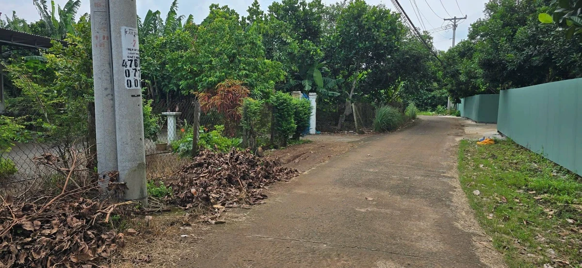 Bán vườn trái cây 1000m2 có 118m2 thổ cư tại Phường Bình Lộc, Long Khánh, Đồng Nai - Ảnh thu nhỏ 5