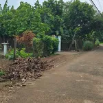 Bán vườn trái cây 1000m2 có 118m2 thổ cư tại Phường Bình Lộc, Long Khánh, Đồng Nai - Ảnh thu nhỏ 5