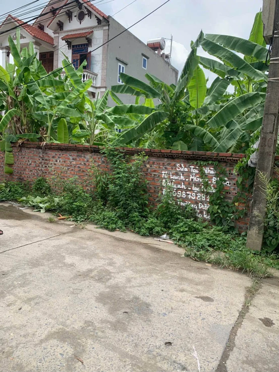 Bán đất thửa chính Thụy Trà Nam Sách 100m² giá 1,6 tỷ - Ảnh thu nhỏ 3