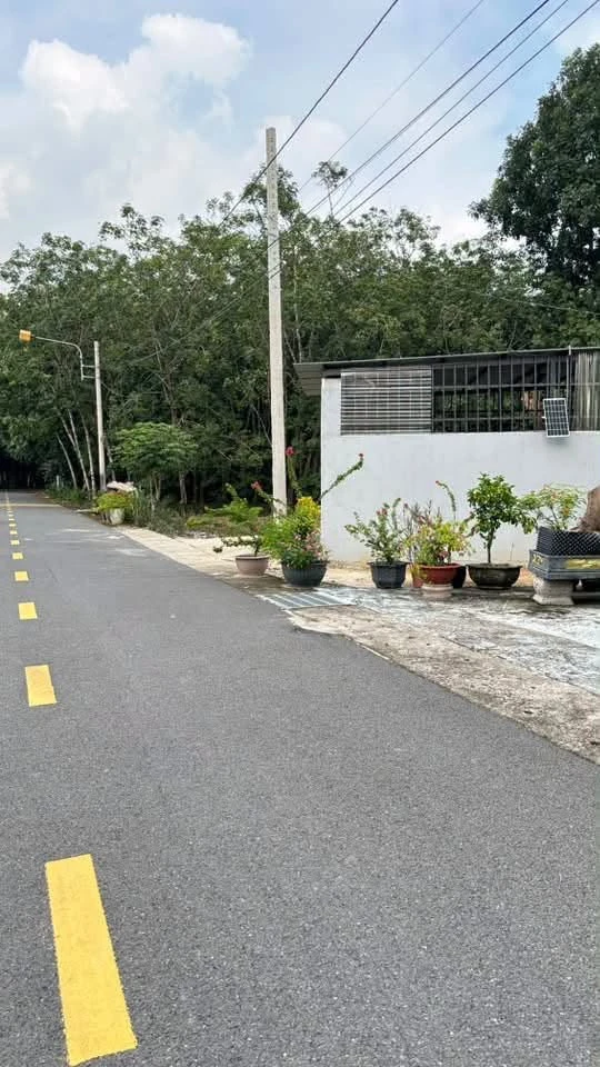 Bán đất Chánh Phú Hòa 175m² 1,2 tỷ - Ảnh 1