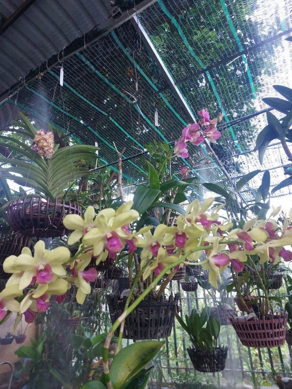 Bán đất mặt tiền Nguyễn Diêu Quy Nhơn 100m2