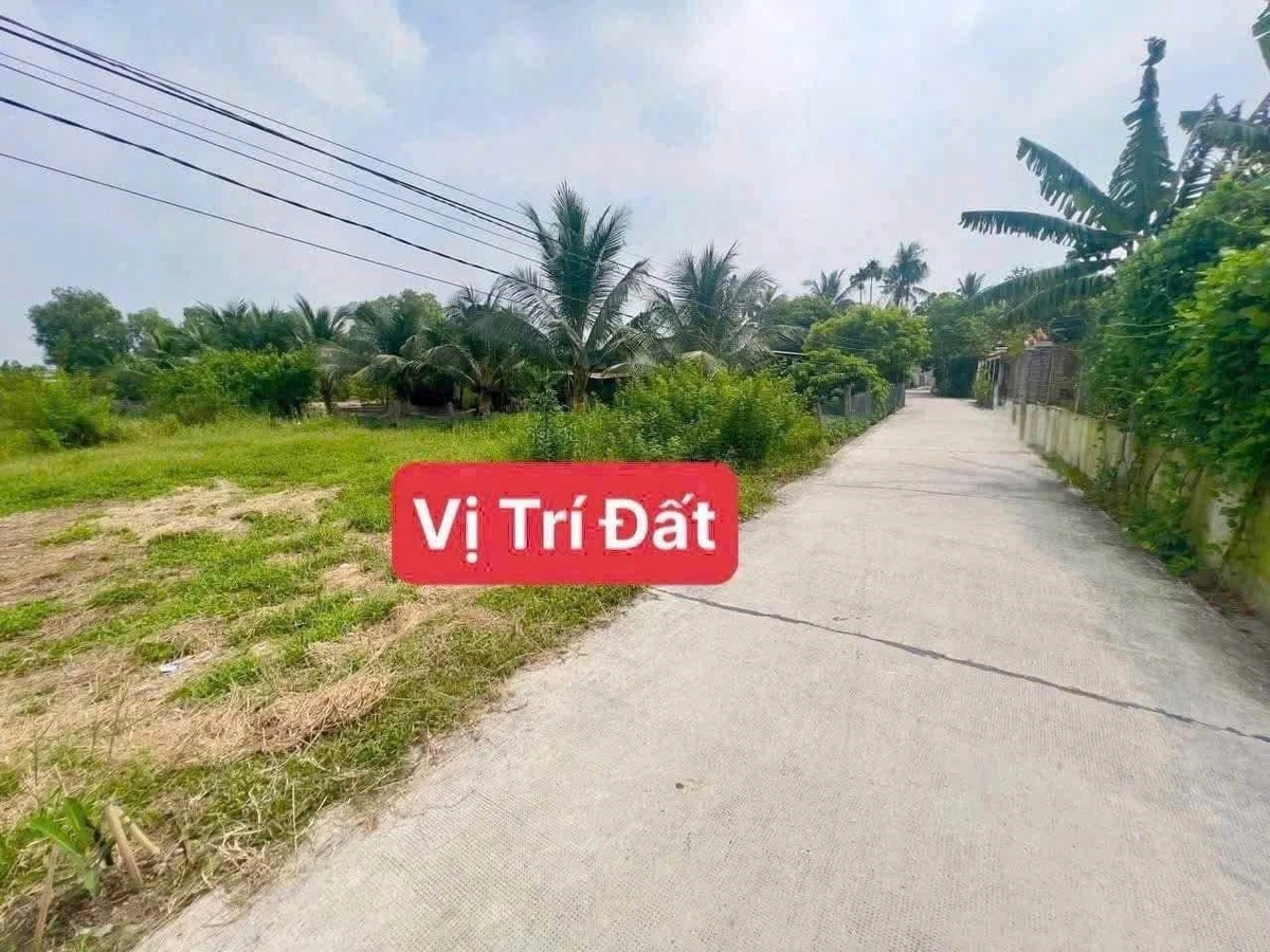 Bán đất thổ cư 5x60m (300m2) Ấp 1 Long Định, Cần Đước, Long An gần KCN Thuận Đạo - Ảnh thu nhỏ 3