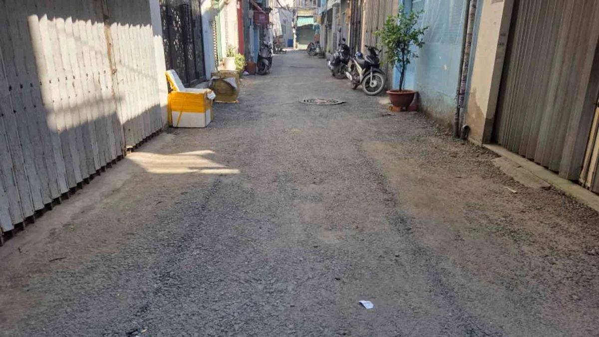 Bán nhà hẻm ô tô 2 tầng 43m2 Quang Trung - Phan Huy Ích, Gò Vấp, giá 4,2 tỷ - Ảnh thu nhỏ 2