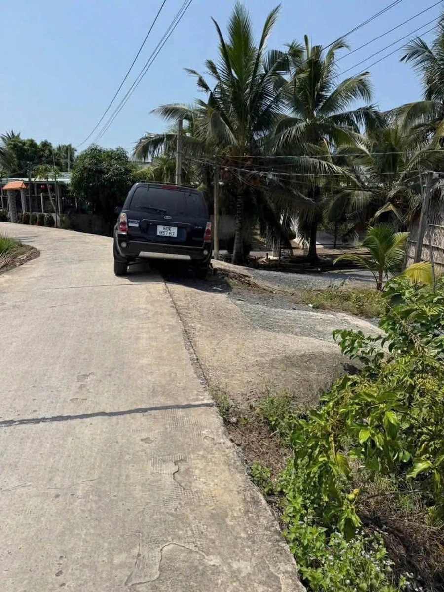 Bán 3000m² đất vườn Thạnh Hòa Bến Lức Long An - Ảnh thu nhỏ 4