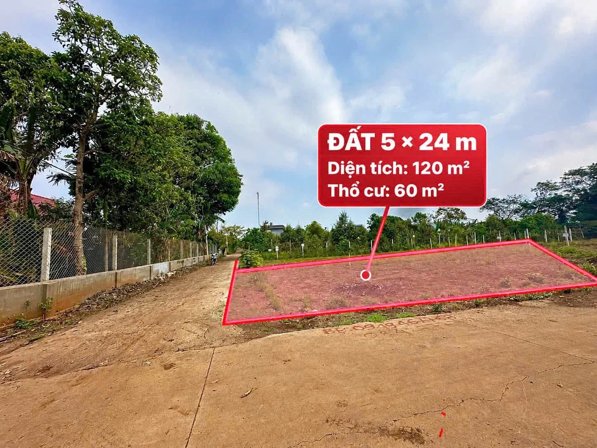 Bán đất hẻm cấp 1 Nguyễn Xuân Nguyên 60m² Tân Phú - Ảnh 1
