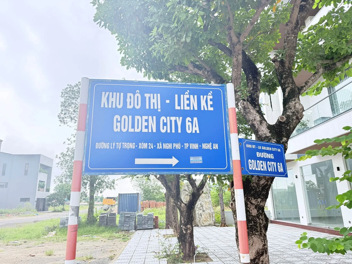 Bán căn góc thông tầng 175m2, Golden City 6A, Quận 1 - Ảnh thu nhỏ 3