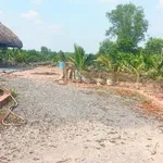 Bán đất vườn 2.517m2 tại Phú An, Hồ Chí Minh - 5 tỷ - Ảnh thu nhỏ 4