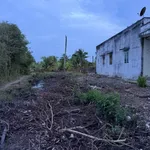 Bán nhà cấp 4 có 2 PN, 921 m² Nguyễn Đại Thời Nhà Bè - Ảnh thu nhỏ 3