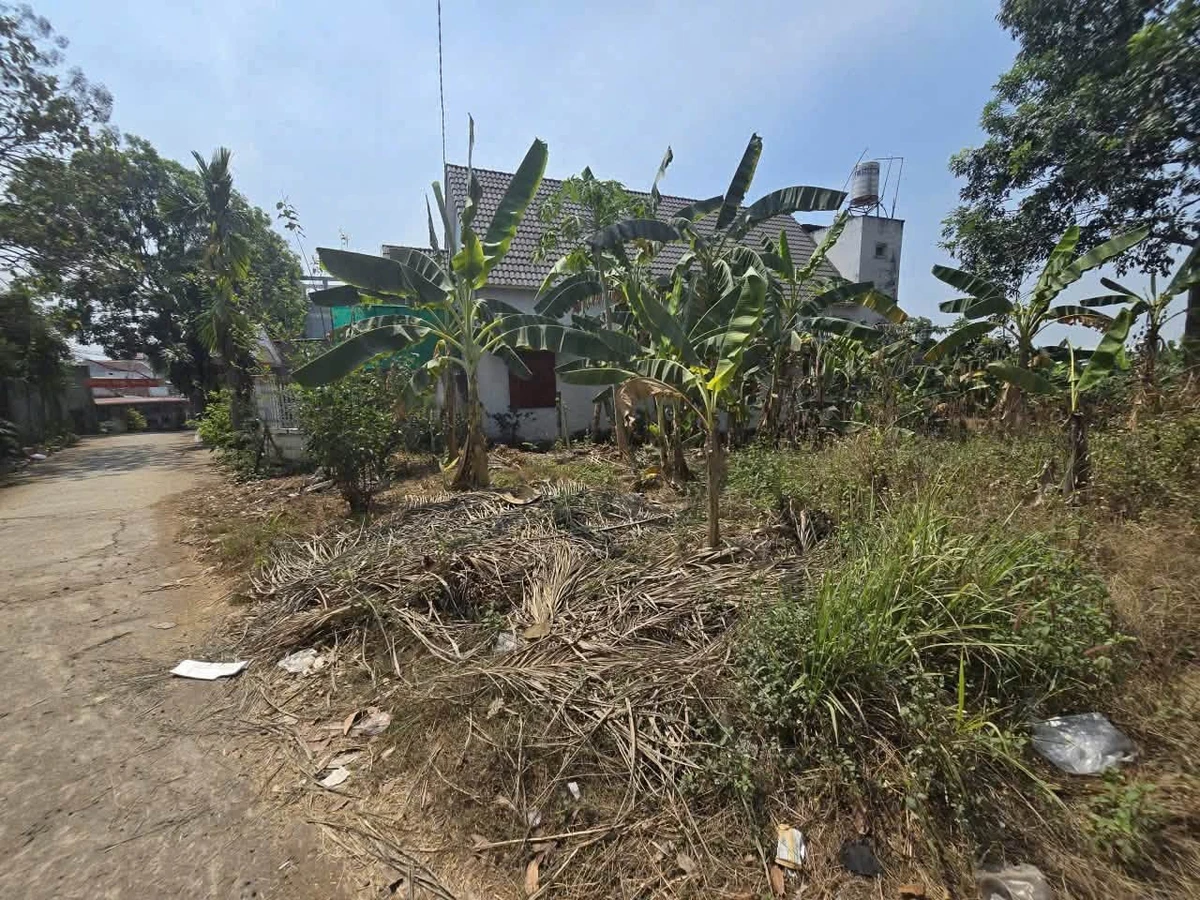 Bán lô đất 976m² sát khu du lịch Sơn Tiên, An Hoà - Ảnh thu nhỏ 3