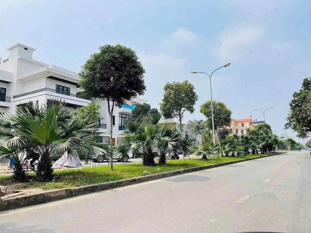 Bán đất biệt thự 250m² mặt đường Phạm Văn Đồng, Hải Dương - Ảnh 1