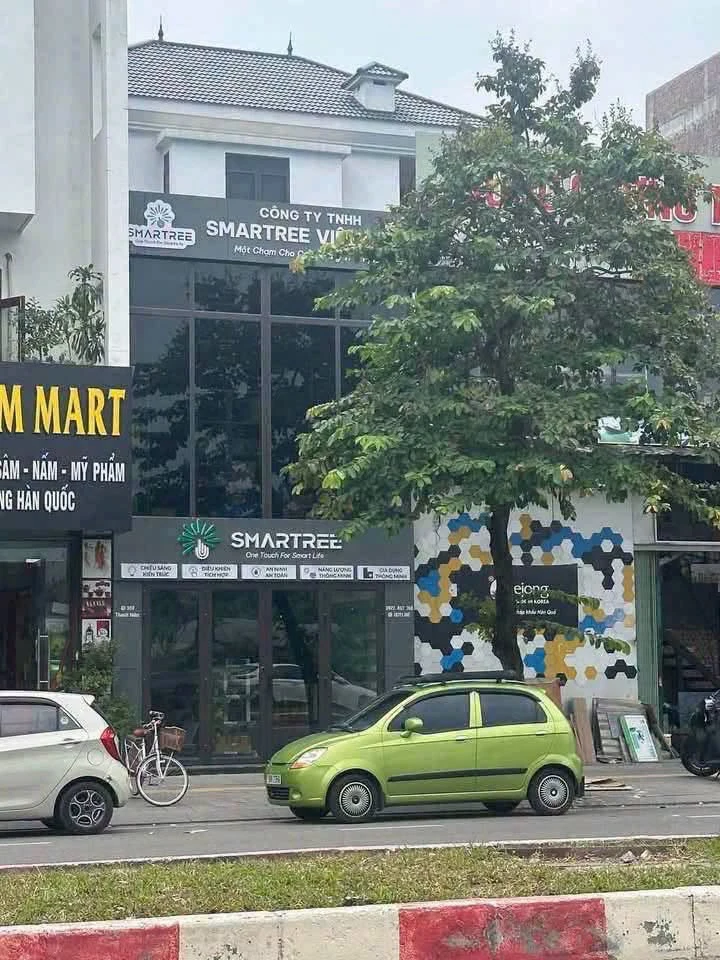 Bán đất mặt đường Thanh Niên 80m2, Hải Dương, 8 tỷ - Ảnh thu nhỏ 2