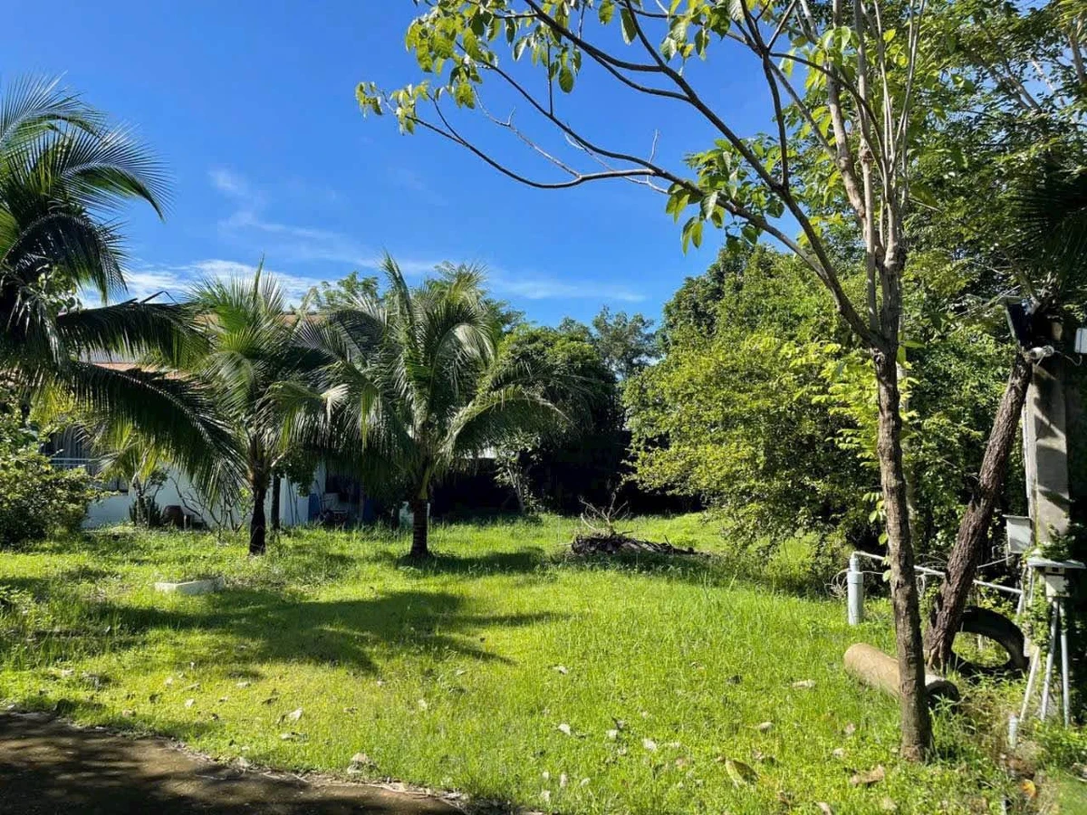 Bán nhà vườn nghỉ dưỡng 2.000m² Phan Thiết giáp suối - Ảnh thu nhỏ 3