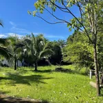 Bán nhà vườn nghỉ dưỡng 2.000m² Phan Thiết giáp suối - Ảnh thu nhỏ 3