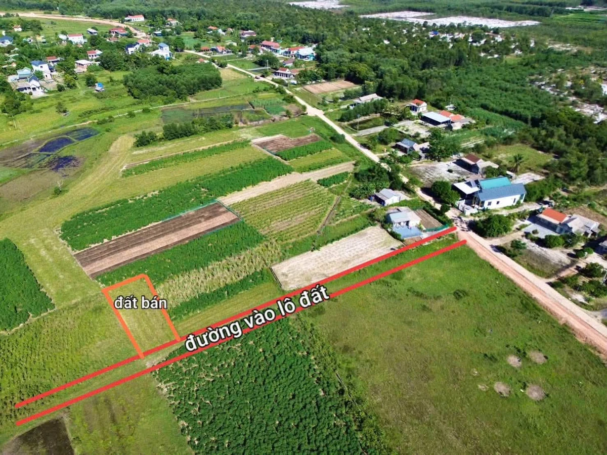Bán lô đất trồng cây 336m2 cạnh KCN Phong Điền, Huế, giá 59 triệu - Ảnh 1