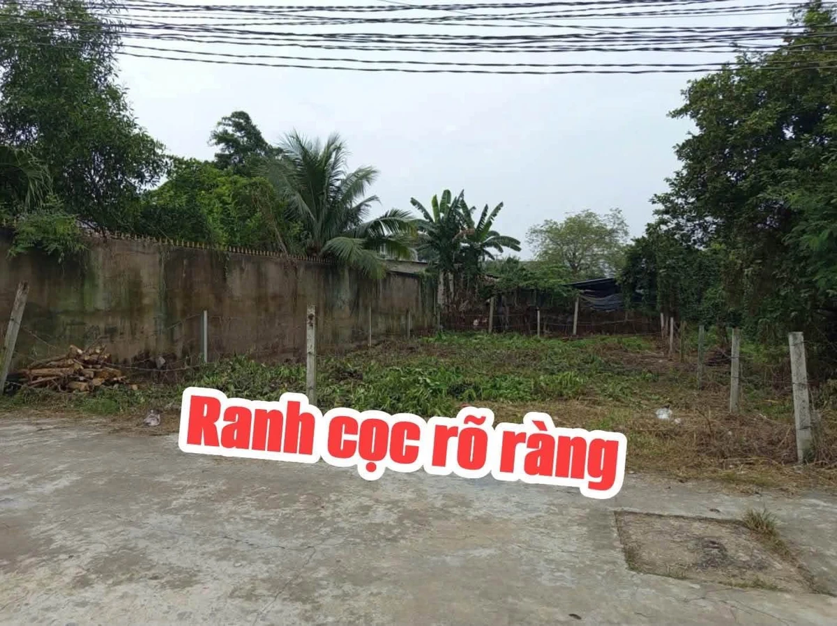 Bán lô đất 230m² Phước Lý Cần Giuộc Tây Ninh - Ảnh thu nhỏ 3