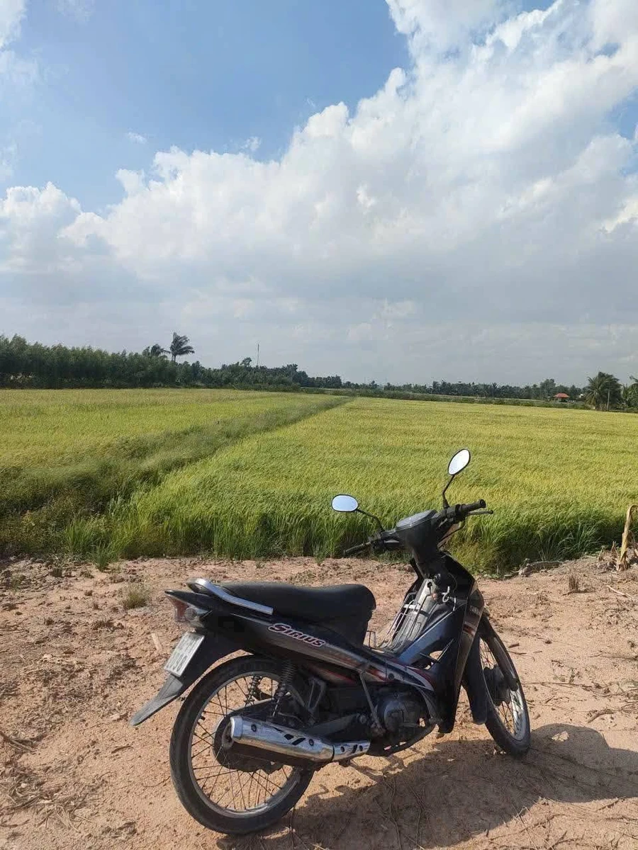 Bán 23.040m² đất lúa ở Bình Hòa Bắc, Tây Ninh - Ảnh thu nhỏ 4