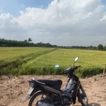 Bán 23.040m² đất lúa ở Bình Hòa Bắc, Tây Ninh - Ảnh thu nhỏ 4
