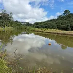 Bán đất vườn cà phê tiêu 1,45ha sát quốc lộ 14 tại Nam Jang, Đăk Song, Đắk Nông - Ảnh thu nhỏ 5